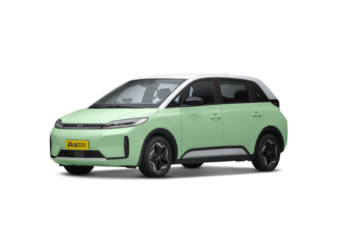 BYD D1